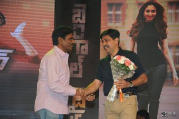 Bengal Tiger Movie Audio Launch
